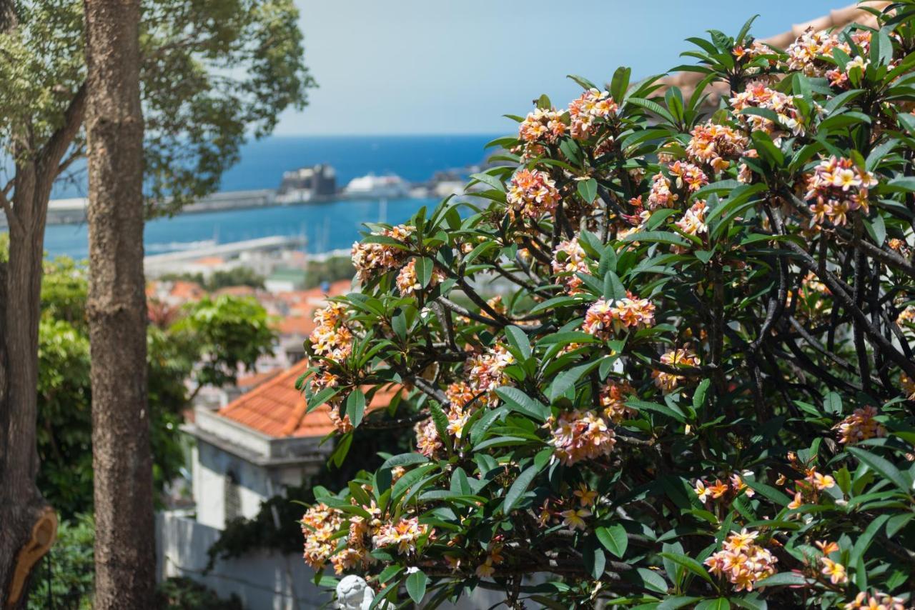 Arts In Hotel Conde Carvalhal Funchal  Exterior photo